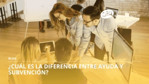 diferencia entre ayuda y subvención