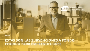 subvenciones a fondo perdido