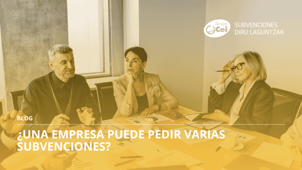 una empresa puede solicitar varias subvenciones